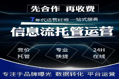 SEM代理案例：揭秘成功背后的秘密